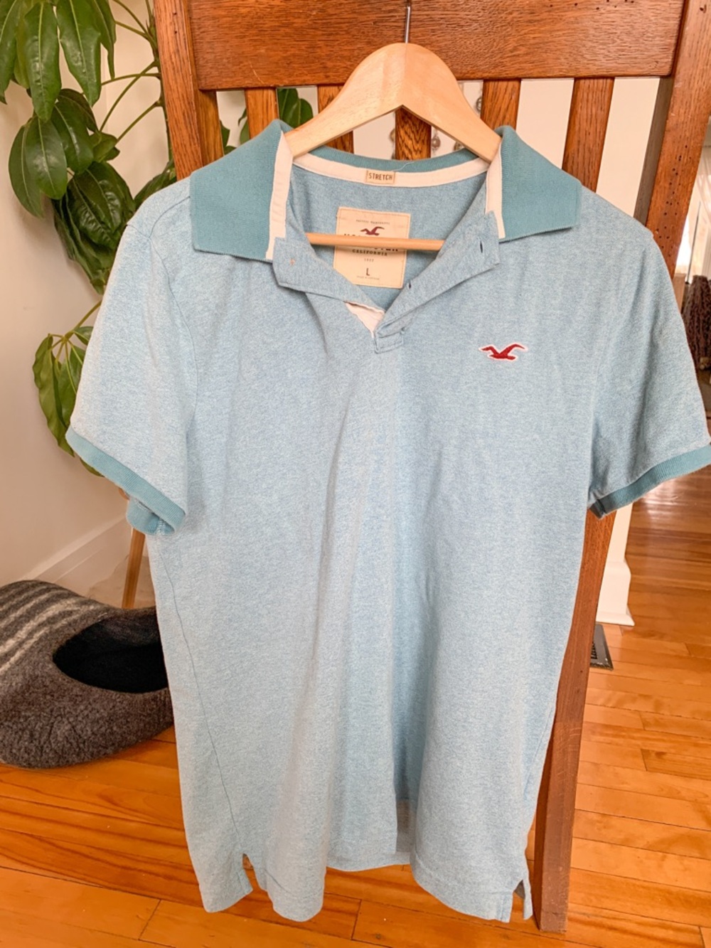 Hollister baby blue polo -US L
